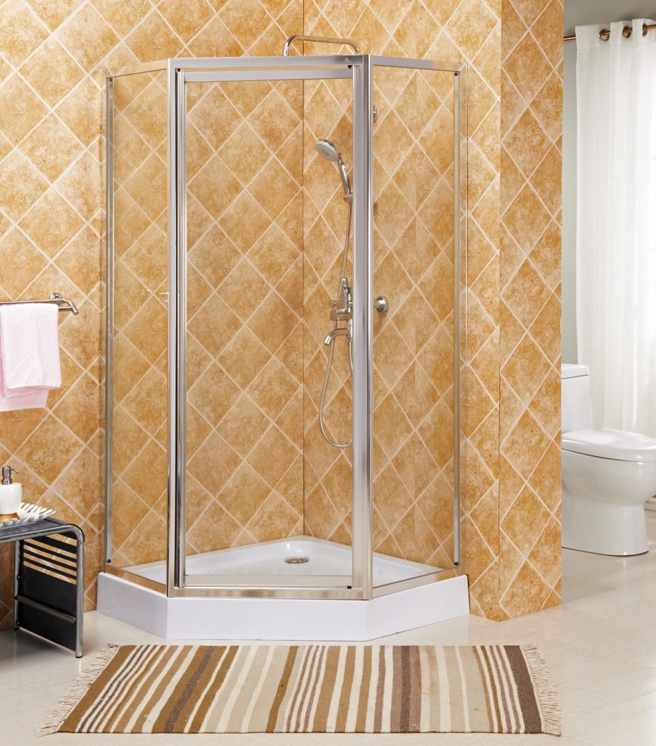 SHOWER DOOR - 93FL