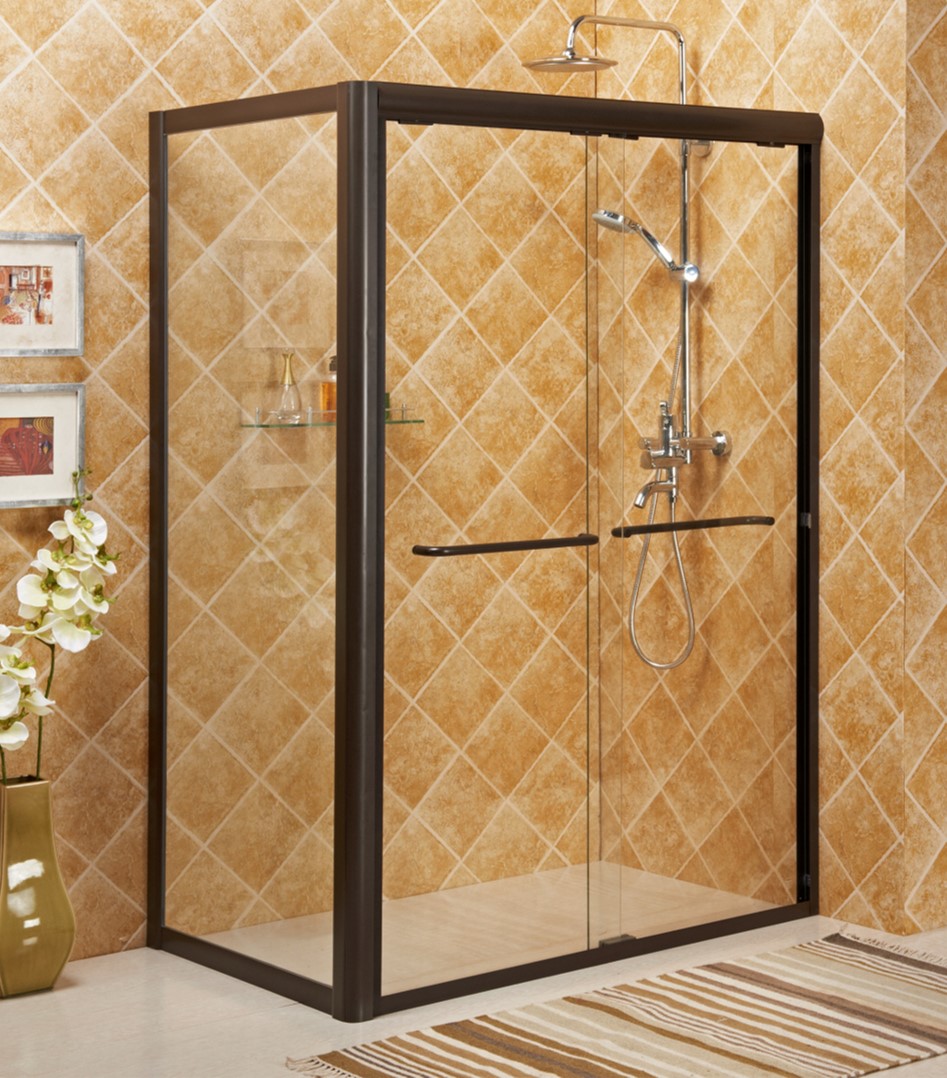 SHOWER DOOR - 9712